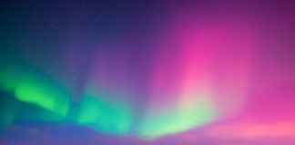 Entain – Dainis Niedra: the keys to unlocking success in Finland Finland market entain