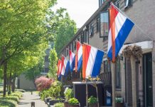 Nicolas Fleiderman, Holland Casino: The ‘structural imbalance’ exploited by black market advertisers Dutch flags