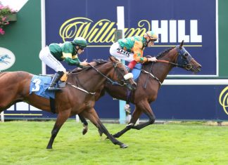 evoke: retail growth heralds second-best quarter since 2023 Horse racing with William Hill