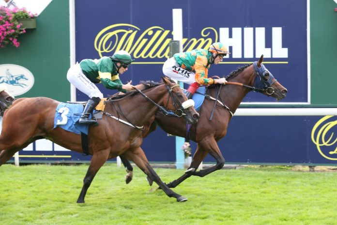 evoke_-retail-growth-heralds-second-best-quarter-since-2023 Horse racing with William Hill