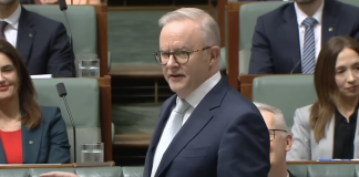 Labor told Australia wants a break from gambling ads