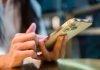Belgium hails ‘proactive system’ as gambling self-exclusion increases
