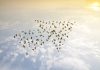 Wazdan expands Multidrop promotion to solidify online strategy Expansion concept
