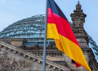 Swintt expands German presence through NOVOLINE collaboration Germany