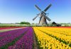 Starcasino grows content in the Netherlands with 3 Oaks Gaming Netherlands