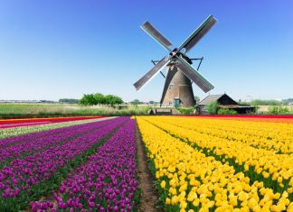 Starcasino grows content in the Netherlands with 3 Oaks Gaming Netherlands