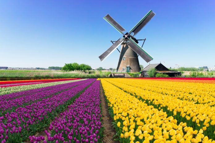 Starcasino-grows-content-offering-in-the-Netherlands-with-3-Oaks-Gaming Netherlands