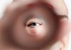 Austrac drops claims against Entain as it narrows investigation Narrowing focus