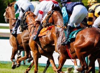 Hub88 adds sports and racing pools with Colossus Bets Horse racing