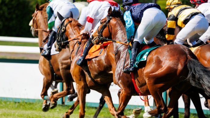 Horse racing