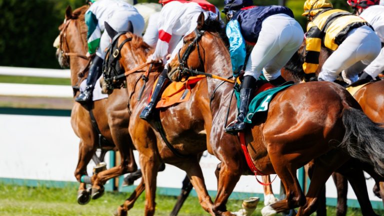 Horse racing