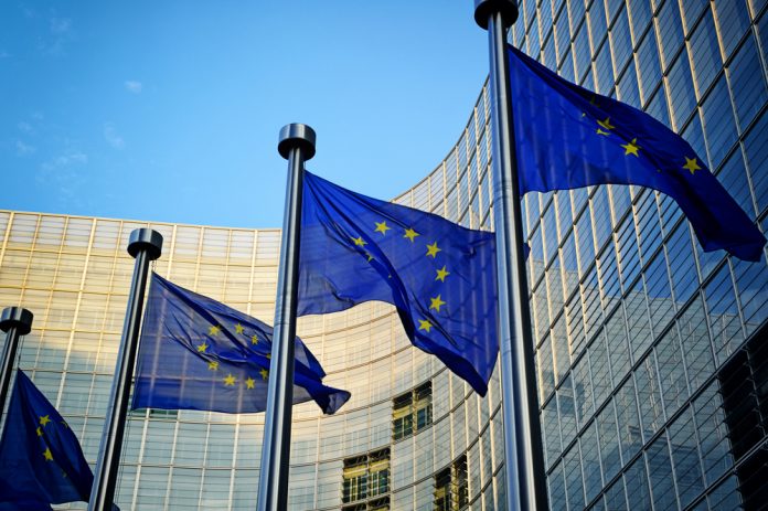 EU Flags EU decision