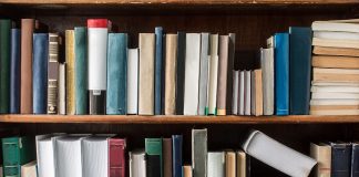 NorthStar Gaming grows iGaming library with Wazdan Library