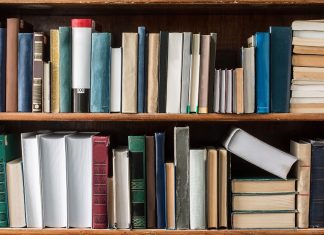 NorthStar Gaming grows iGaming library with Wazdan Library