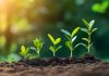 Soft2Bet continues to grow content offering with Amusnet Growth