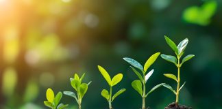 Soft2Bet continues to grow content offering with Amusnet Growth