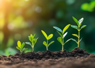 Soft2Bet continues to grow content offering with Amusnet Growth