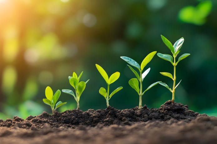 Soft2Bet-continues-to-grow-content-offering-with-Amusnet Growth
