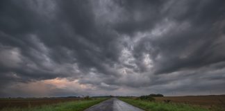 Ainsworth boss’s future clouded by Nevada licence troubles Dark clouds in the sky