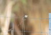 New Zealand takes ring fencing approach to gambling taxation Ring fencing approache to tax