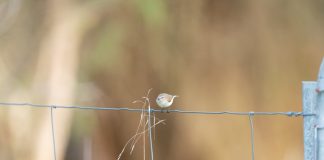 New Zealand takes ring fencing approach to gambling taxation Ring fencing approache to tax