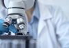 UAE examines AML strategy as gaming landscape takes shape Scientist looks through microscope
