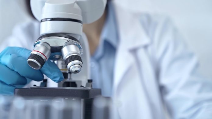 uae-aml-gaming-landscape-takes-shape Scientist looks through microscope