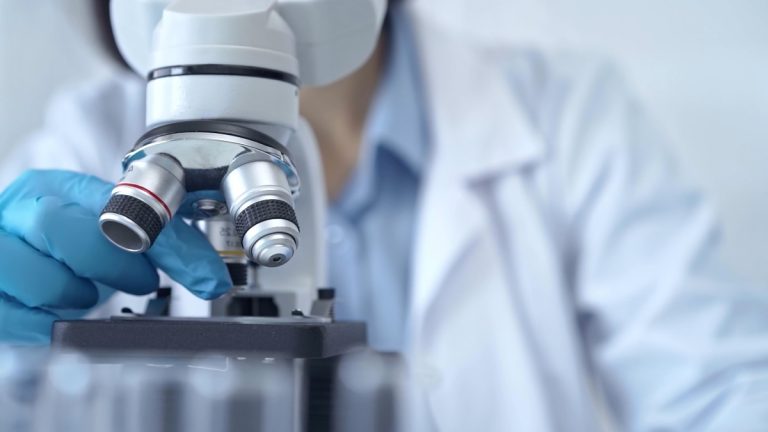Scientist looks through microscope