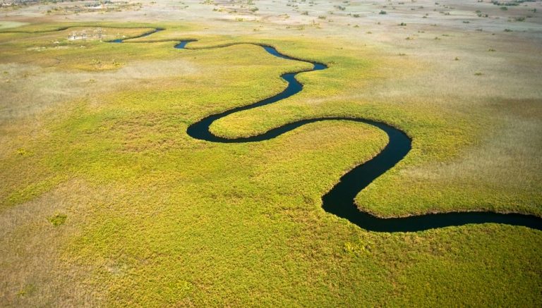 Botswana landscape
