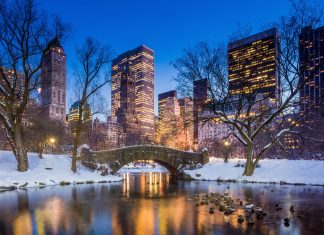 Board approval secured as New York license process nears endgame New York licensing