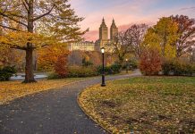 New York sweepstakes ban ‘necessary step’ on iGaming path New pathway for ad ban