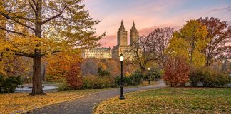 New York sweepstakes ban ‘necessary step’ on iGaming path New pathway for ad ban