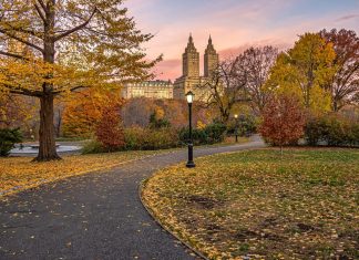 New York sweepstakes ban ‘necessary step’ on iGaming path New pathway for ad ban