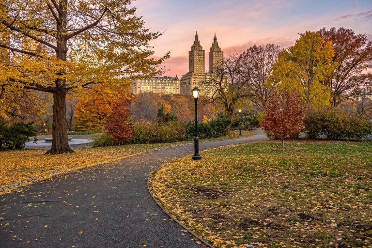 New York sweepstakes ban ‘necessary step’ on iGaming path New pathway for ad ban