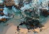 Warnings over black market engagement in South Africa South Africa