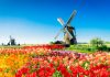 SpinOro adds Netherlands to European presence with Hommerson Netherlands