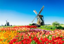 SpinOro adds Netherlands to European presence with Hommerson Netherlands