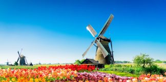 SpinOro adds Netherlands to European presence with Hommerson Netherlands