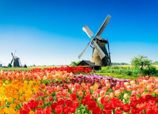 SpinOro adds Netherlands to European presence with Hommerson Netherlands