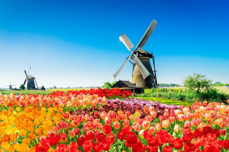 SpinOro adds Netherlands to European presence with Hommerson Netherlands