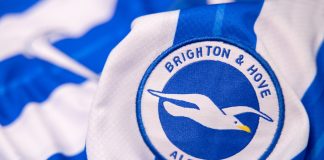 Brighton owner slams “inaccurate and misleading” Guardian gambling reports Brighton & Hove Albion's crest