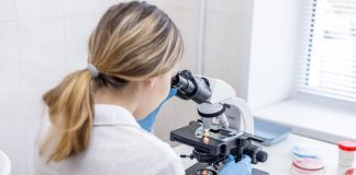 Spribe’s licence under the microscope in Sweden Woman looks through microscope