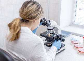 Spribe’s licence under the microscope in Sweden Woman looks through microscope