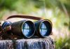 Dutch gambling eyes greater player protection oversight in 2026 Binoculars