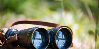 Dutch gambling eyes greater player protection oversight in 2026 Binoculars