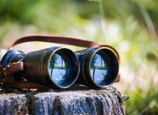 Dutch gambling eyes greater player protection oversight in 2026 Binoculars