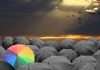 Fazi: becoming a top supplier of choice for operators Fazi sets its sights on becoming a prime target for global operators