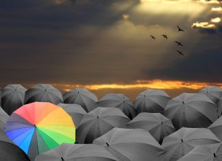 Fazi: becoming a top supplier of choice for operators Fazi sets its sights on becoming a prime target for global operators