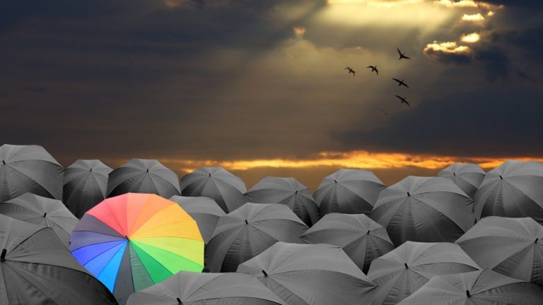 Fazi: becoming a top supplier of choice for operators Fazi sets its sights on becoming a prime target for global operators
