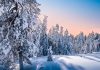 Fears tough affiliate regulations will fuel Finland’s black market Lapland, Finland